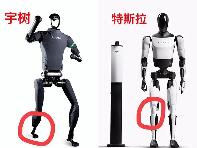 未来人类的动作或许也会是电机驱动的(图2)