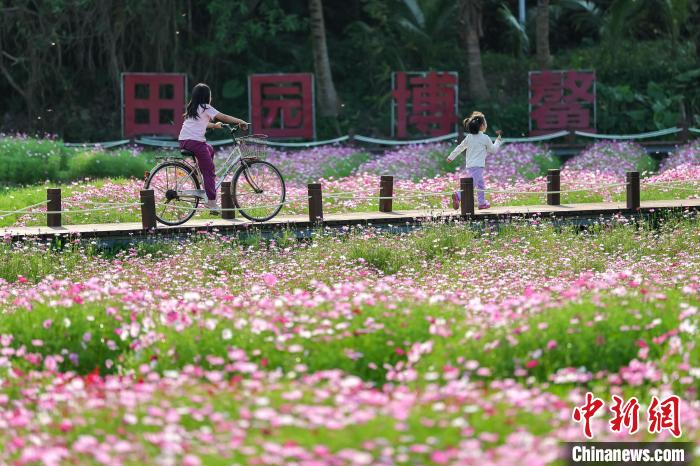 “国际会客厅”博鳌：面朝大海春暖花开