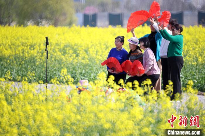 南京江心洲油菜花开城市田园美如画(图4)