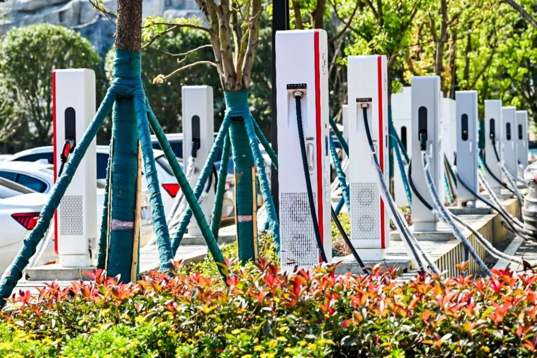 数智润黔山万象焕新颜：“桥”见贵州的数字蝶变(图3)