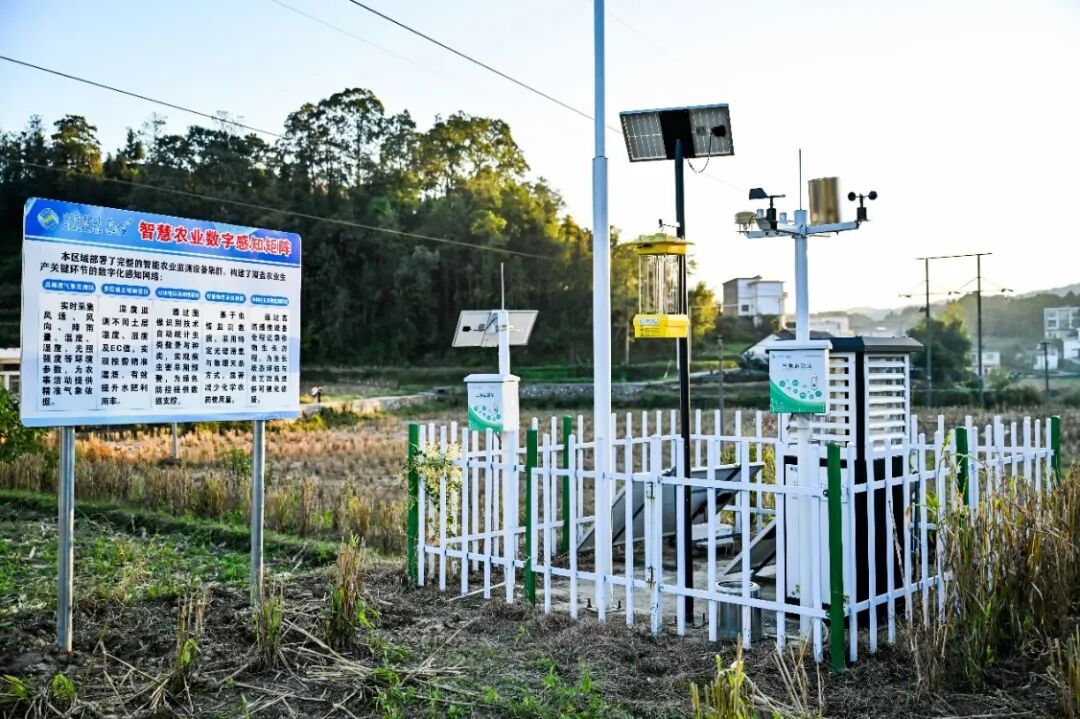 数智润黔山万象焕新颜：“桥”见贵州的数字蝶变(图6)