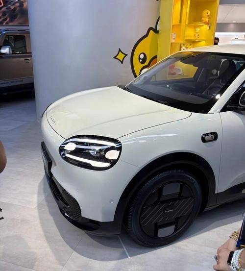 微型纯电市场：黄金赛道的“甜蜜与烦恼”竞争白热化下的用户痛点