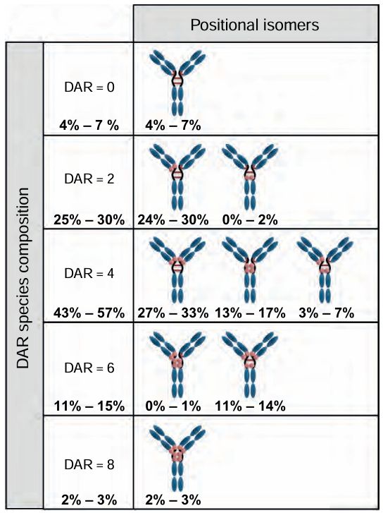 抗体-药物偶联物（ADC）工艺开发与生产注意事项(图5)