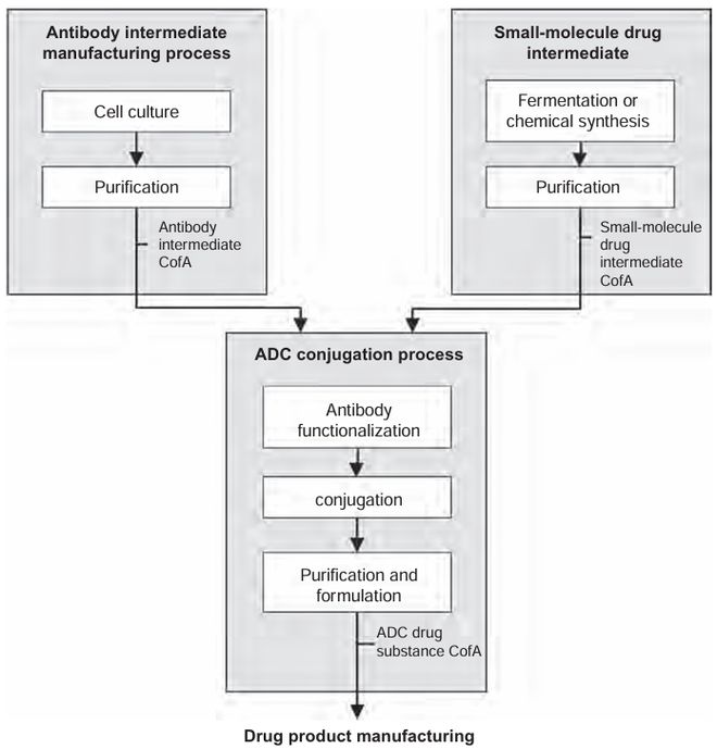 抗体-药物偶联物（ADC）工艺开发与生产注意事项(图2)
