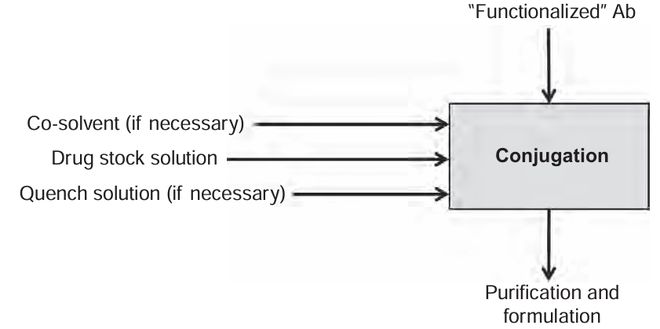 抗体-药物偶联物（ADC）工艺开发与生产注意事项(图9)