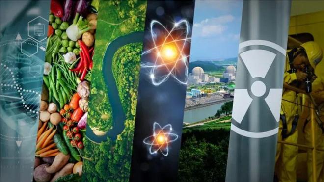 人工智能驱动下的核能复兴已经到来(图8)