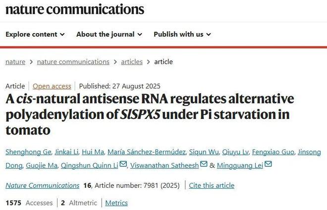 杭州师范大学最新研究发现顺式天然反义RNA调控番茄Pi饥饿下SlSPX5的选择性聚腺苷酸化