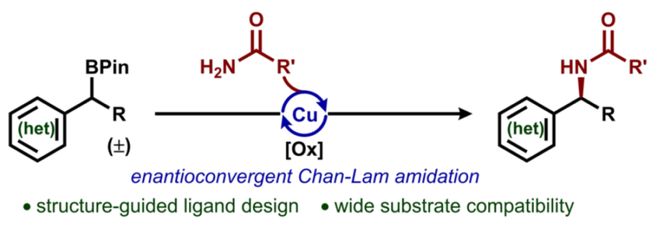 JACS：对映汇聚性Chan−Lam偶联：铜催化脱硼酰胺化合成手性苄酰胺
