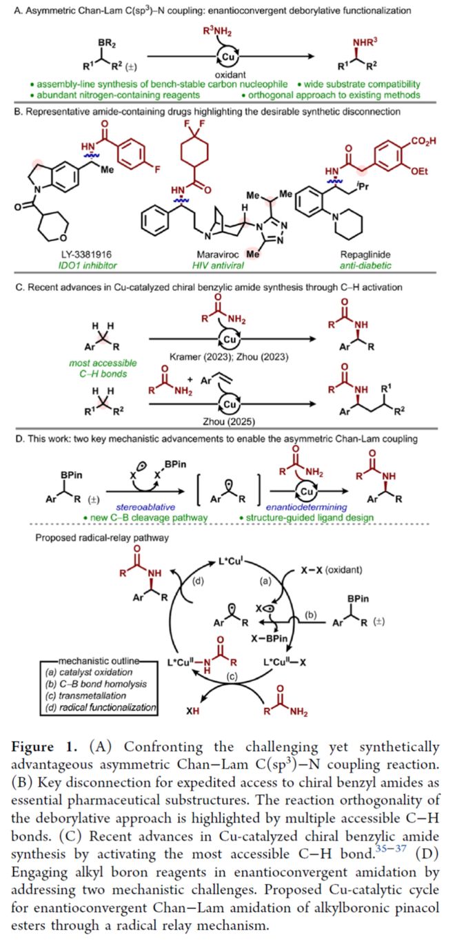 JACS：对映汇聚性Chan−Lam偶联：铜催化脱硼酰胺化合成手性苄酰胺(图2)