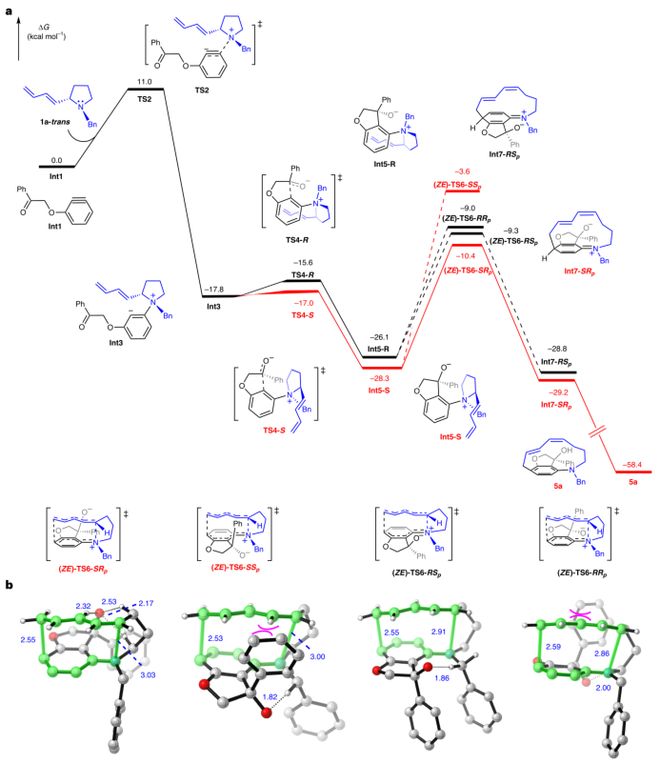 吉林大学重庆大学河南师范三校合作最新NatureChemistry！(图8)