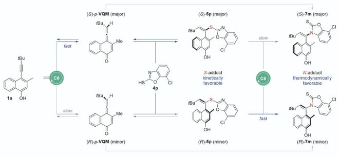 南科大谭斌课题组再创佳绩：通过有机催化实现对位联烯醌的远端轴手性控制(图6)