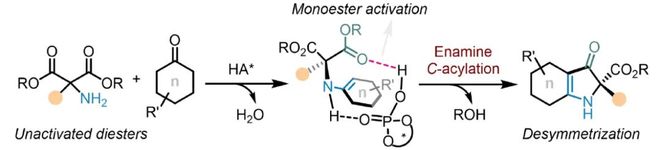 “酯基活化”-上海交大吴华课题组JACS：烯胺酰化实现丙二酸酯的去对称化