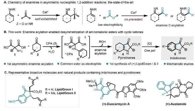 “酯基活化”-上海交大吴华课题组JACS：烯胺酰化实现丙二酸酯的去对称化(图2)