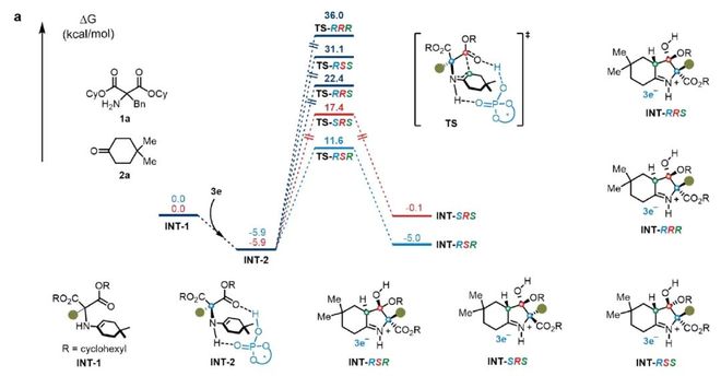 “酯基活化”-上海交大吴华课题组JACS：烯胺酰化实现丙二酸酯的去对称化(图7)