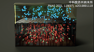 辐光伏核电池入选2024年度“中国科学十大进展”——中科幻彩设计原理动画再登央视！(图17)