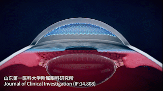 辐光伏核电池入选2024年度“中国科学十大进展”——中科幻彩设计原理动画再登央视！(图20)