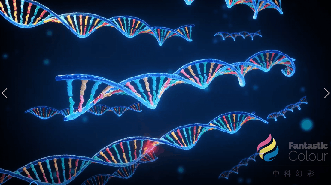 辐光伏核电池入选2024年度“中国科学十大进展”——中科幻彩设计原理动画再登央视！(图22)