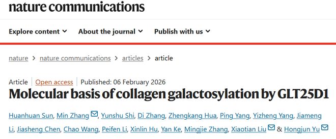 Nat Commun丨于洪军张敏刘晓天合作揭示胶原精准半乳糖基化的分子机制