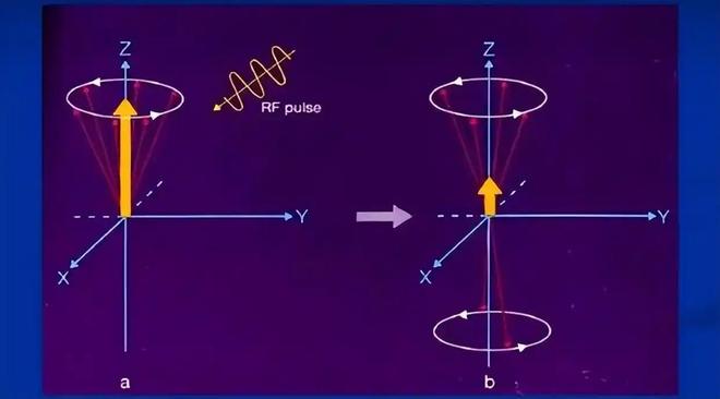 论意识的未来：可以实现用脑电波控制物体吗？(图5)