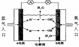 刘丽婷主页-盖世汽车(图1)
