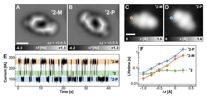 这篇Science被Nature亮点报道首次合成！(图8)