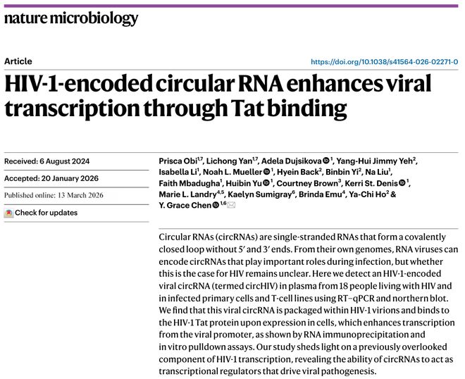 HIV基因组还有“隐藏款”？《NatureMicrobiology》发现环状RNAcircHIV增强病毒转录(图1)