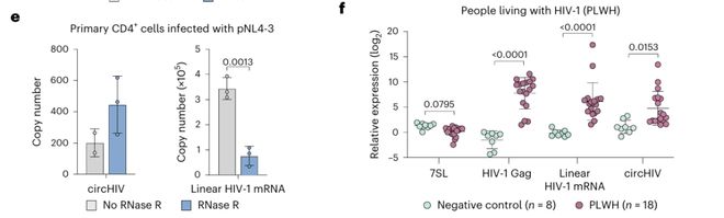 HIV基因组还有“隐藏款”？《NatureMicrobiology》发现环状RNAcircHIV增强病毒转录(图5)