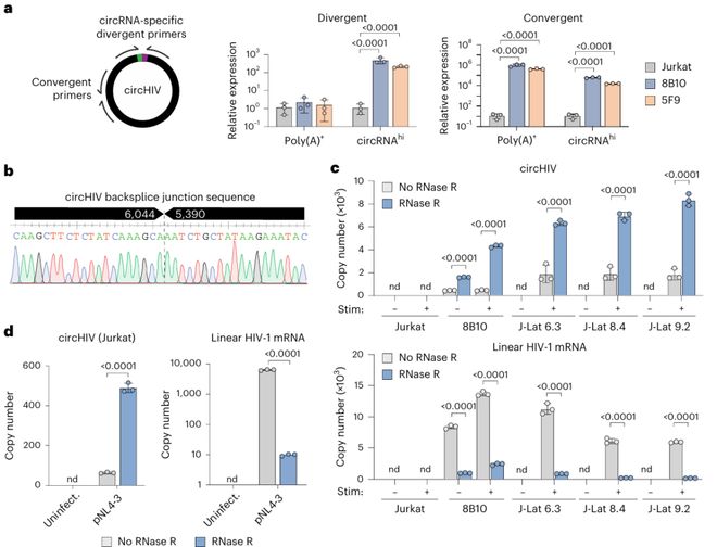 HIV基因组还有“隐藏款”？《NatureMicrobiology》发现环状RNAcircHIV增强病毒转录(图4)