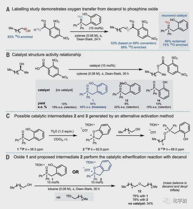 老树新花经典人名反应也能做出Science级成果(图4)