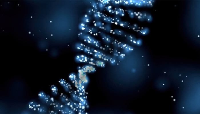 盘龙药业申请棉酚衍生物相关专利棉酚衍生物抑制3CL蛋白酶抗冠状病毒(图1)
